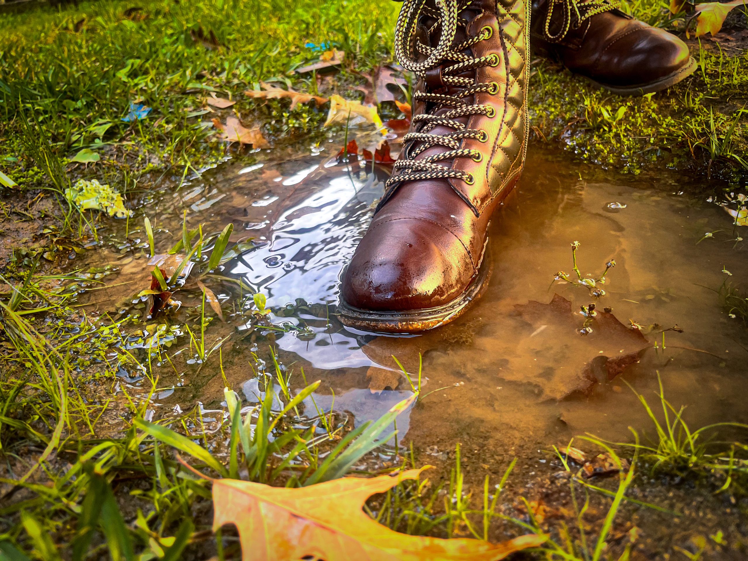 A brown boot stepping in a water puddle surrounded by grass and fallen leaves.